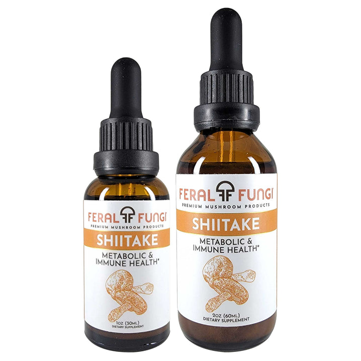 Shiitake (Lentinula edodes) product details - Feral Fungi