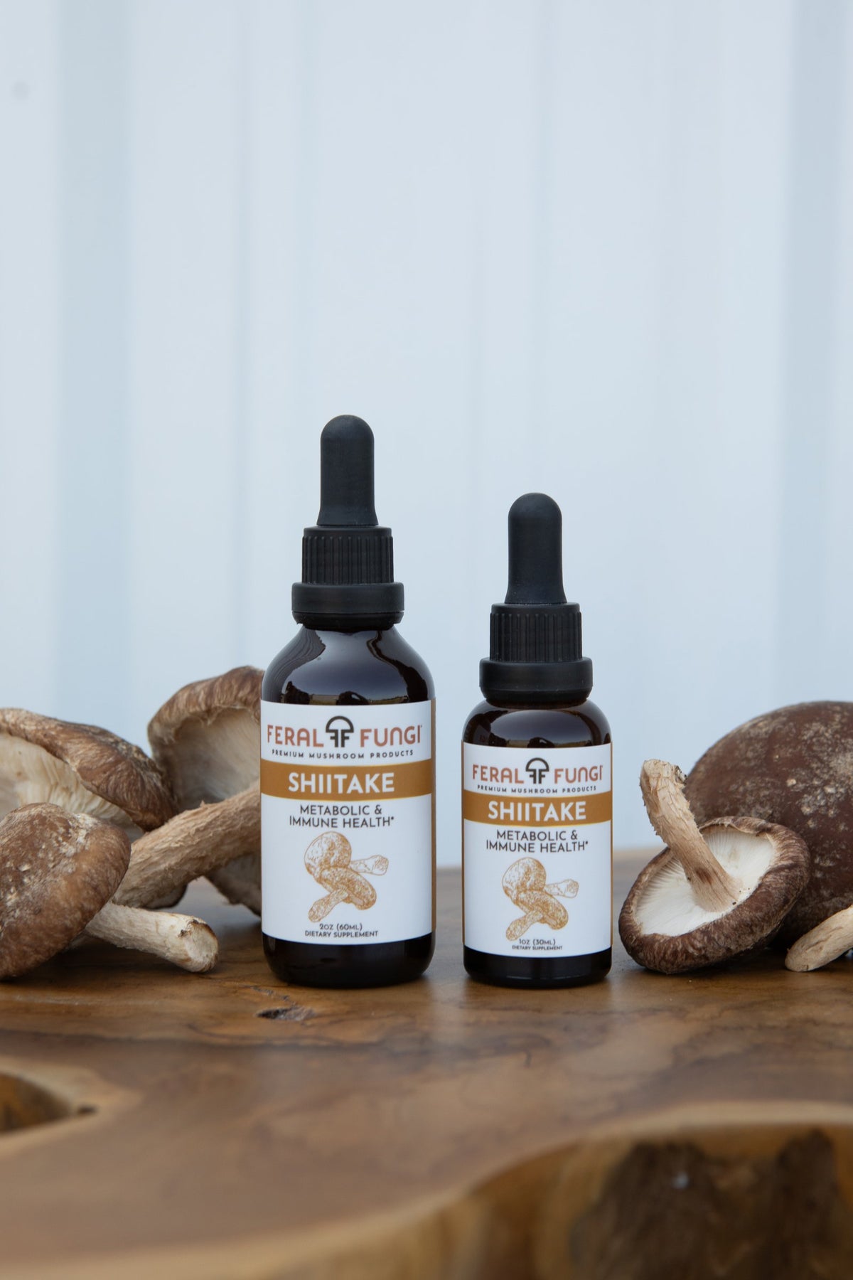 Shiitake (Lentinula edodes) Spagyric Tincture
