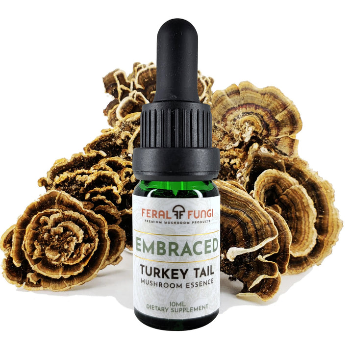 Turkey Tail Essence - Spagyric Essence - Feral Fungi