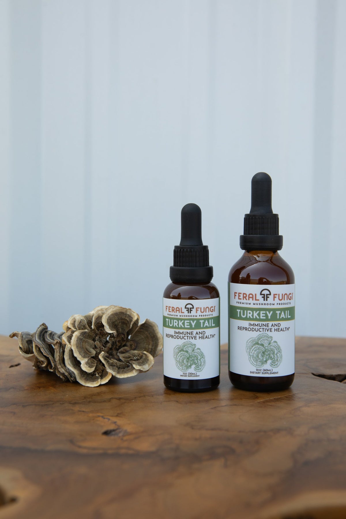 Turkey Tail (Trametes versicolor) Spagyric Tincture