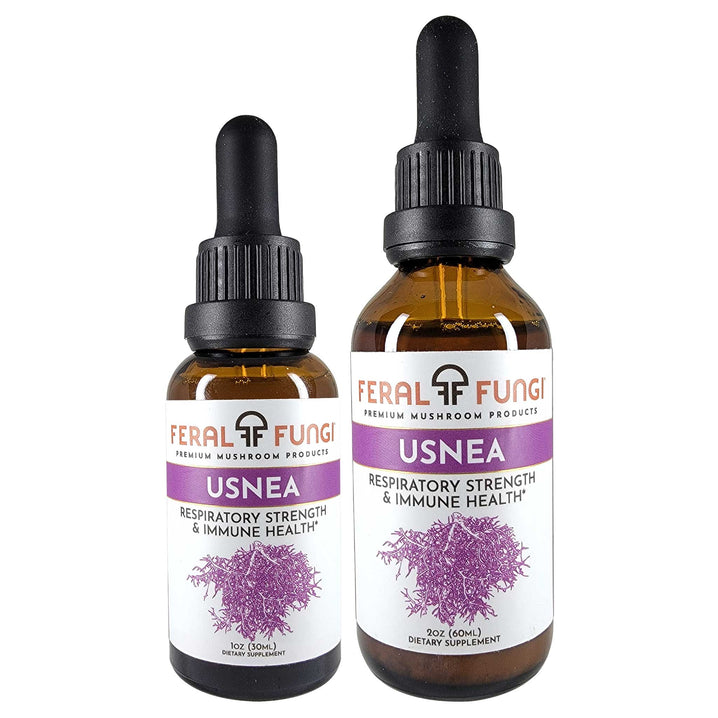 Usnea (Usnea longissima) product details - Feral Fungi